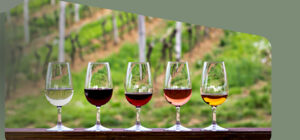 Wine and Dine Tasting Club July 25th - glasses of wine in Santa Paula